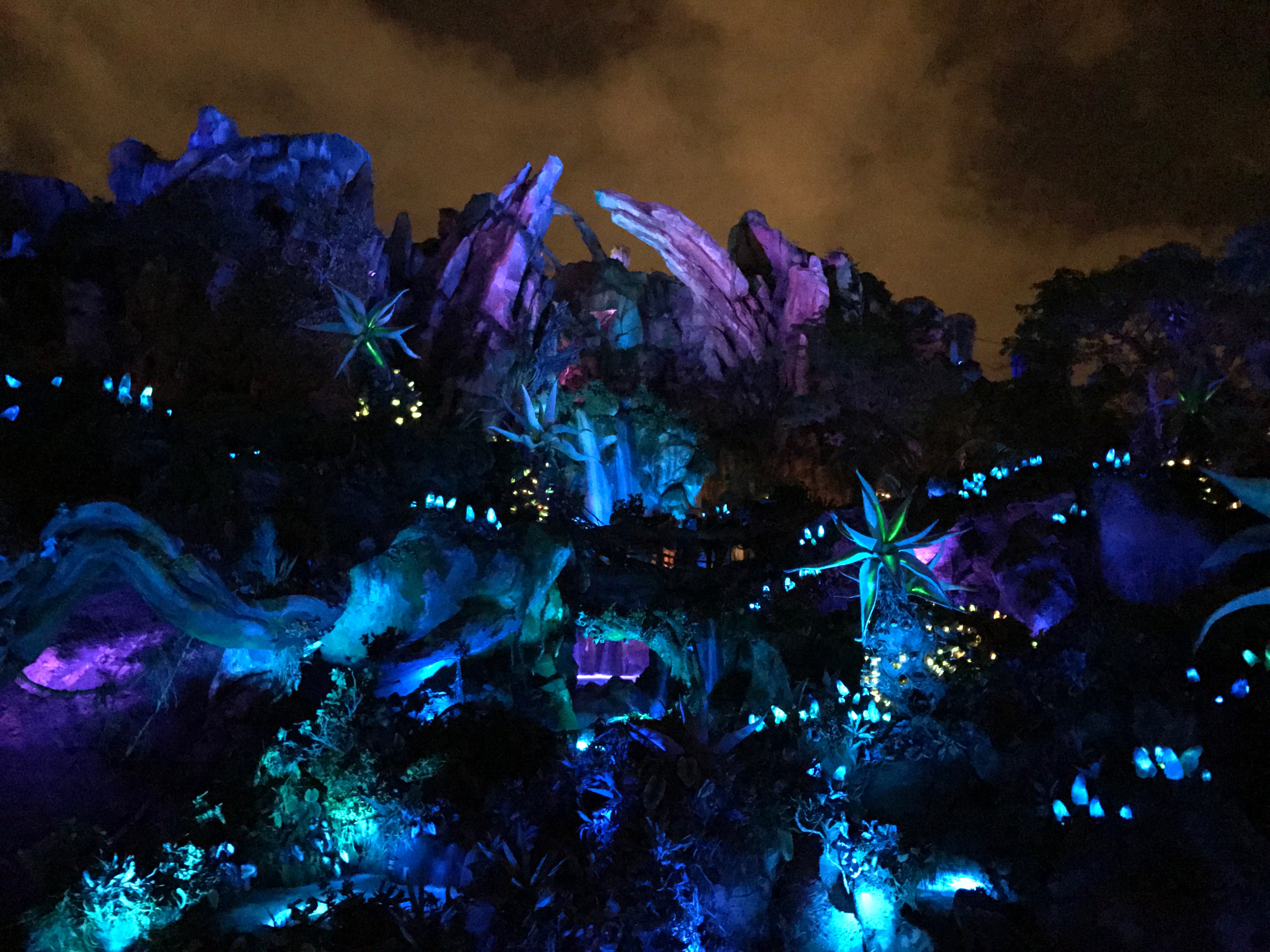 Disney's Animal Kingdom - Ultimate Nights of Adventure VIP Tour
