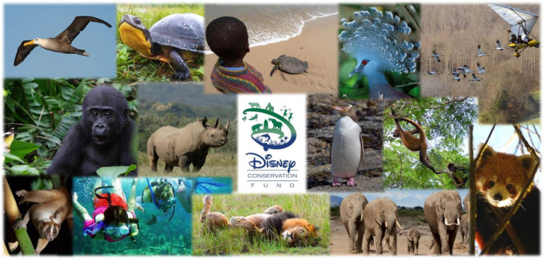 Disney Conservation Fund