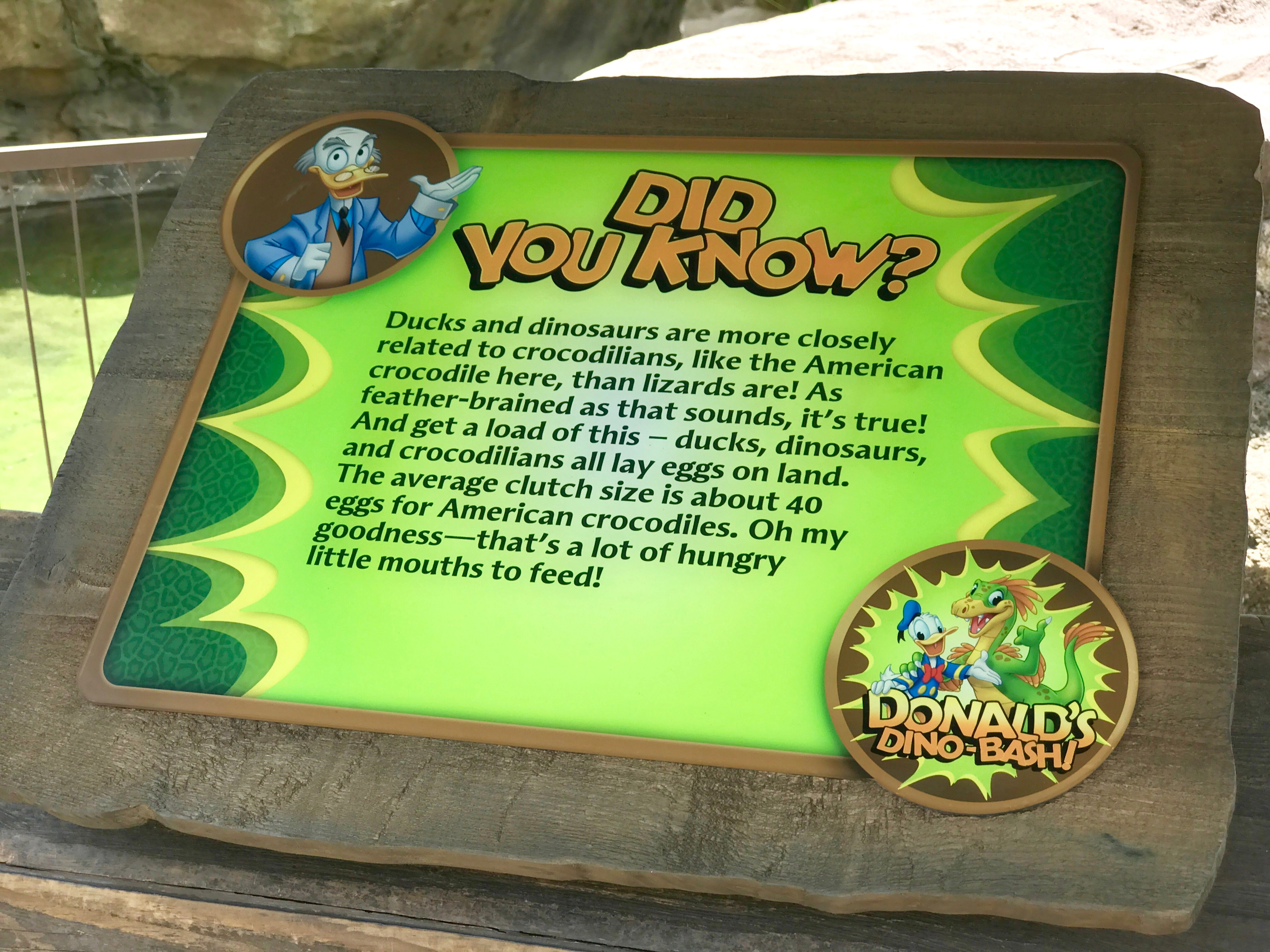 Disney's Animal Kingdom - Donald's Dino-Bash