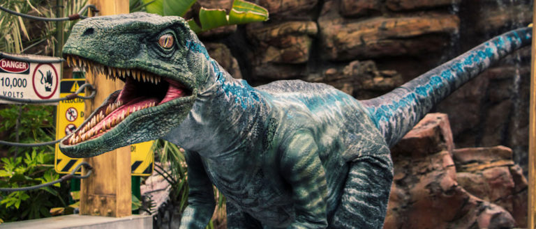 Universal Studios Resorts