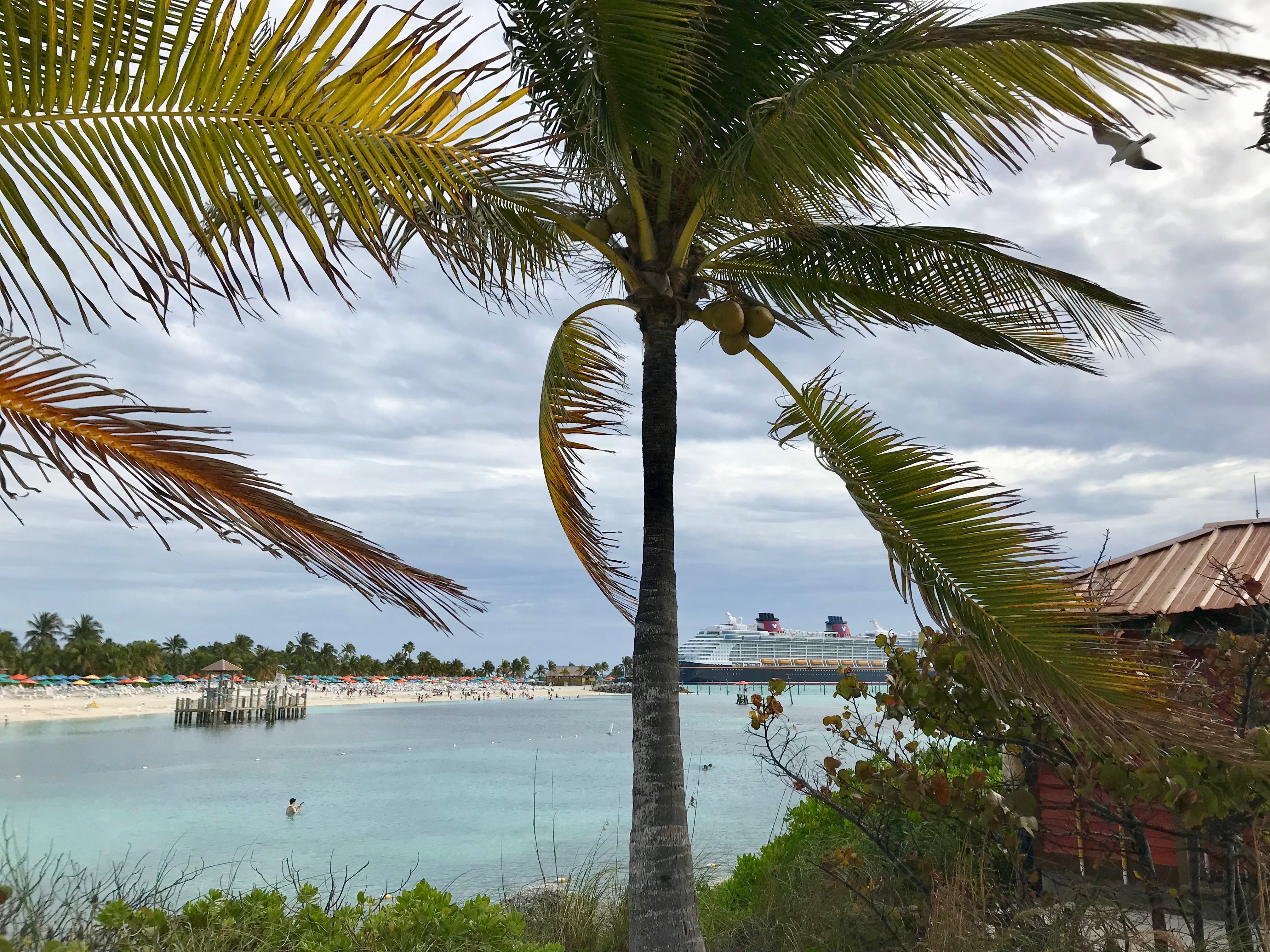 Disney Cruise Line