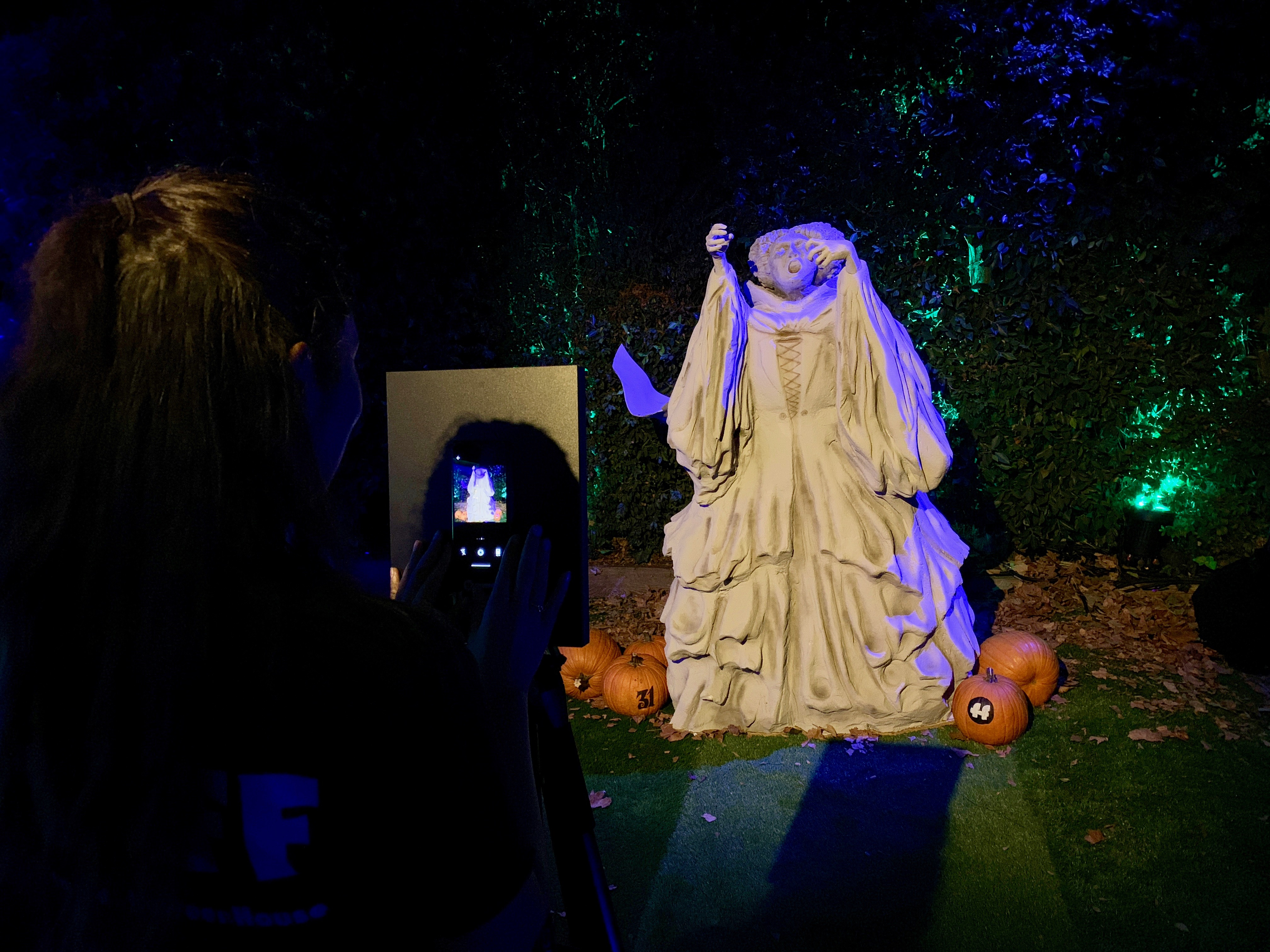 Freeform Halloween House - Winifred Statue Photo Op