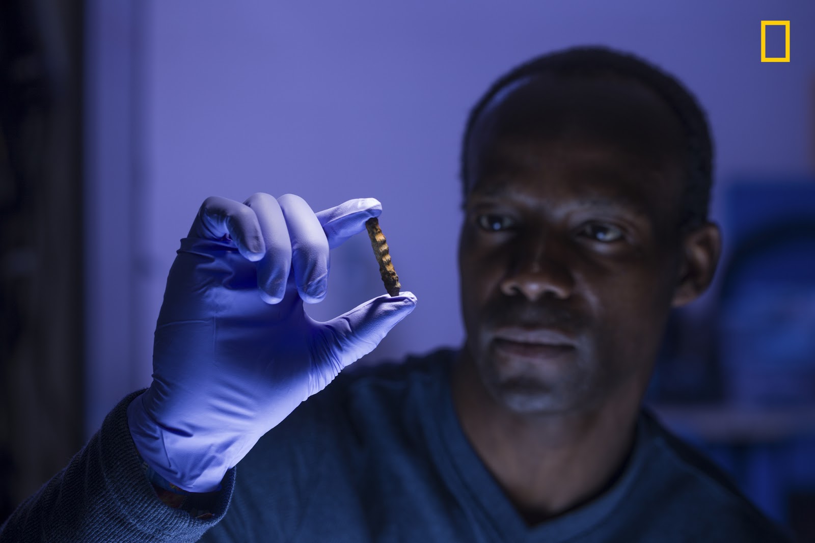 National Geographic engineer Arthur Clarke analyzed a nail from the wreck and found that it was nearly 99 percent pure iron, consistent with fasteners used in shipbuilding in Alabama in the 1850s.(PHOTOGRAPH BY MARK THIESSEN / NATIONAL GEOGRAPHIC)