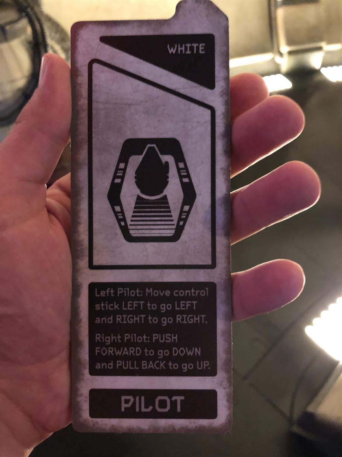 We chose to be a Pilot