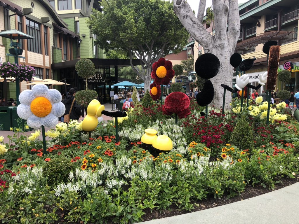 Photos by Mike Celestino