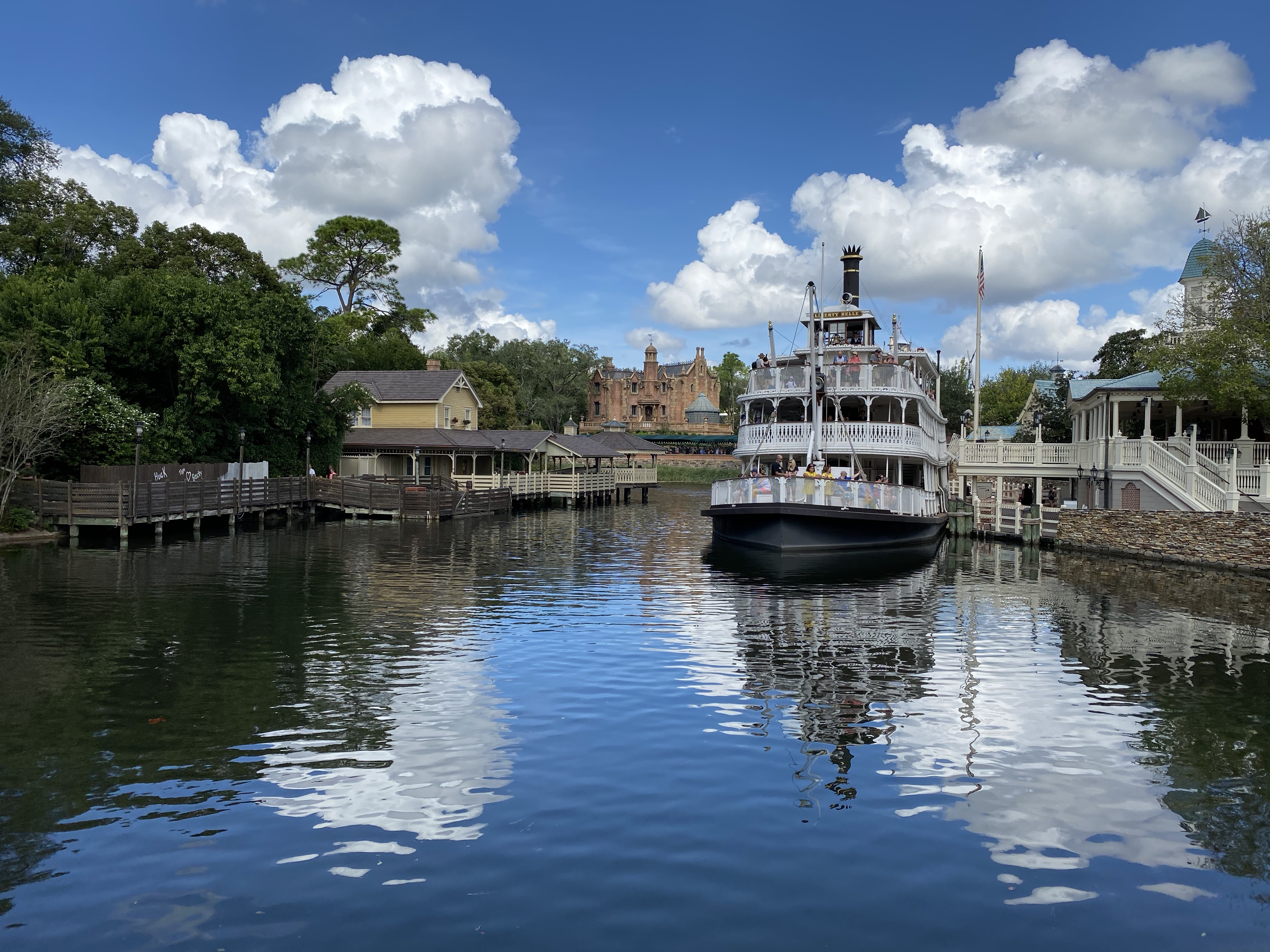 Standard View Camera