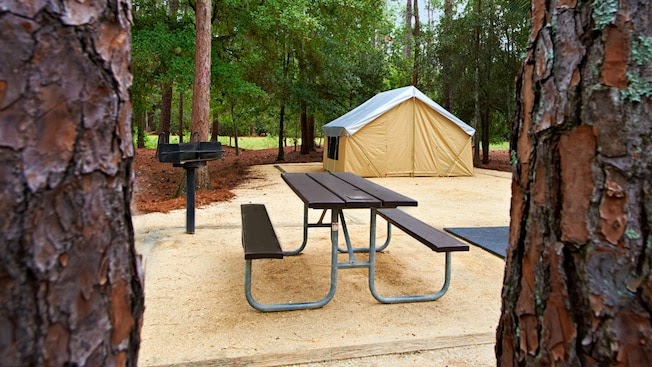 via Walt Disney World