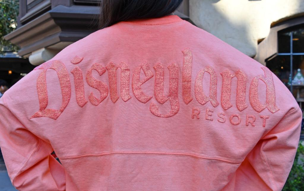 Photo Source: Disneyland Today