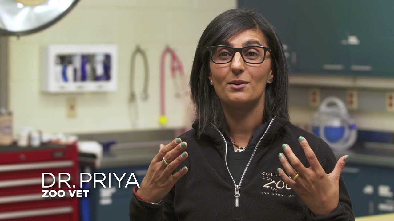 Dr. Priya from Secrets of the Zoo