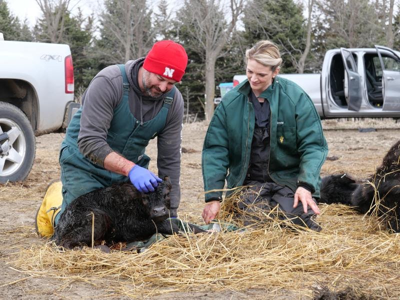 Drs. Erin and Ben Schroeder from Heartland Docs, DVM
