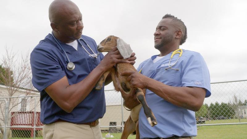 Drs. Terrance Fergusson and Vernard Hodges from Critter Fixers: Country Vets