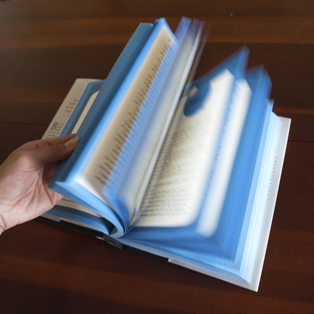 Thrawn Ascendancy: Chaos Rising blue pages