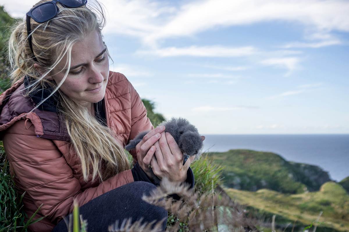 Photo Source: SketchBiologist.com