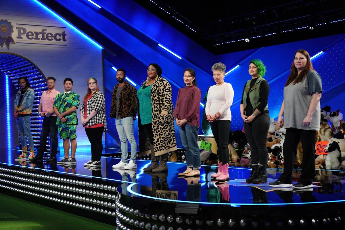 (ABC/Christopher Willard)