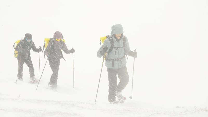 (National Geographic)