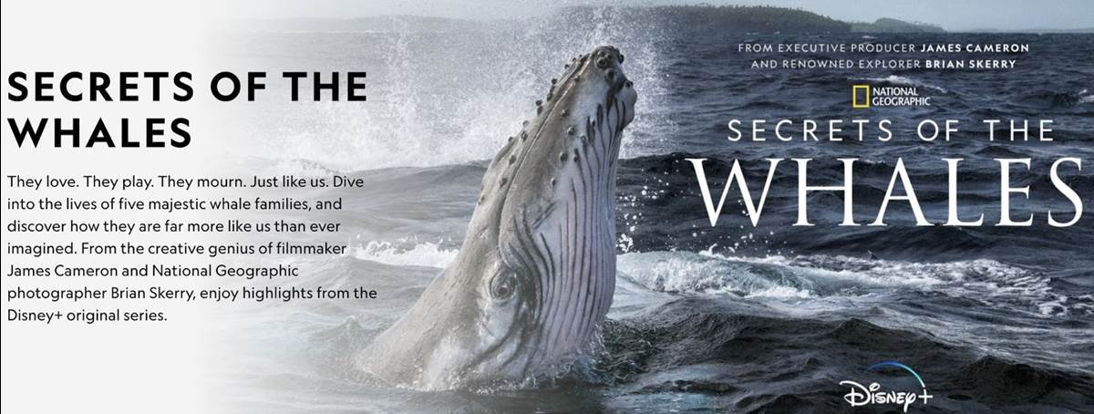 (National Geographic)