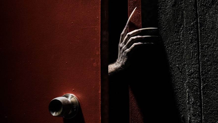 (Busch Gardens Tampa Bay)