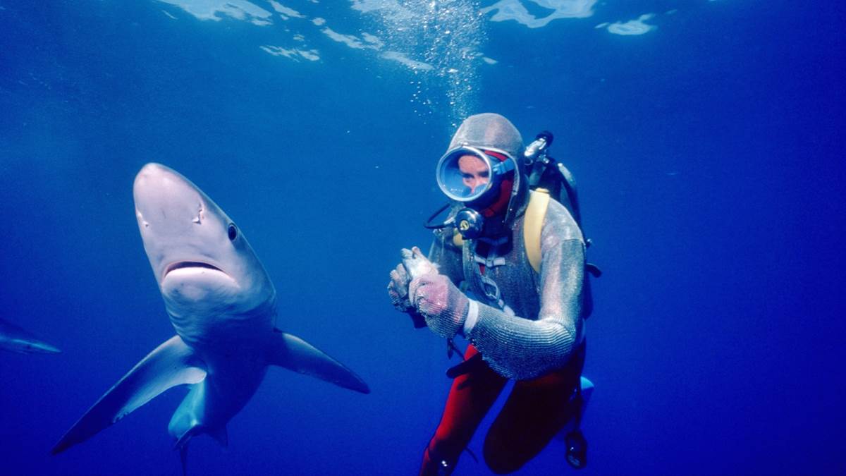 (Photo Credit: Ron and Valerie Taylor)