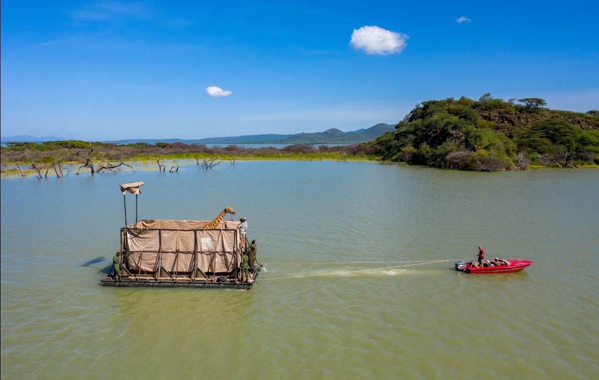 (National Geographic/Ami Vitale)