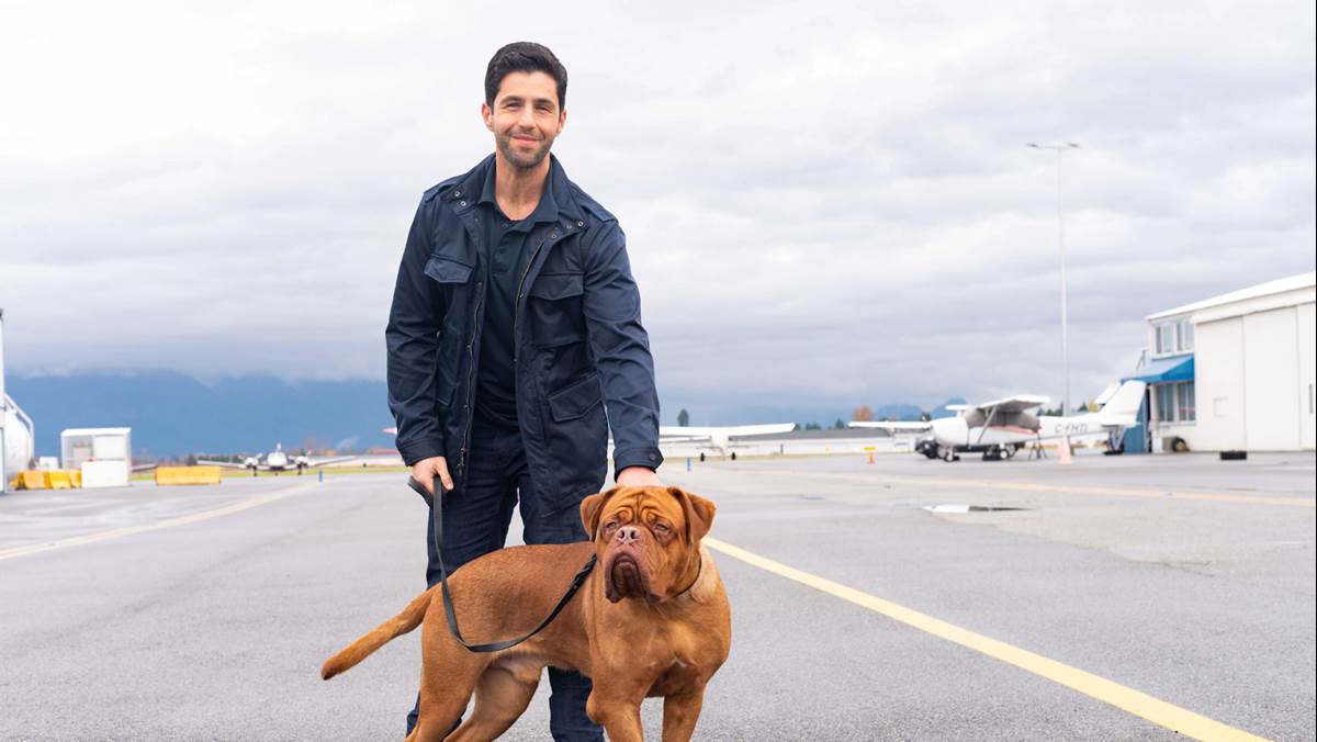 (Disney+/Farah Nosh)