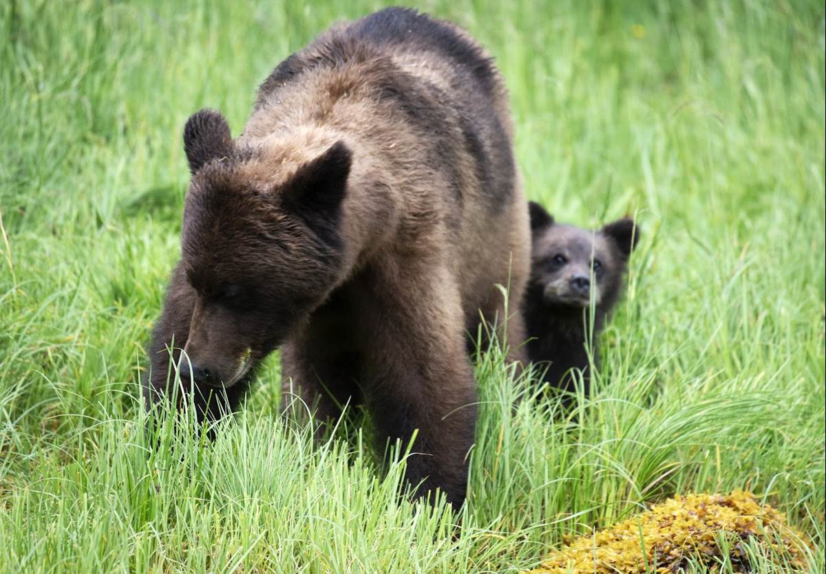 (National Geographic for Disney+/Matthew Hood)