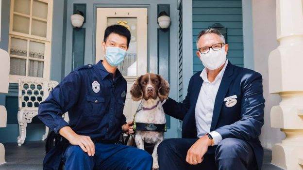 Via Disney Parks Blog