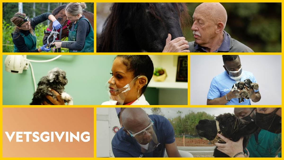 (National Geographic)