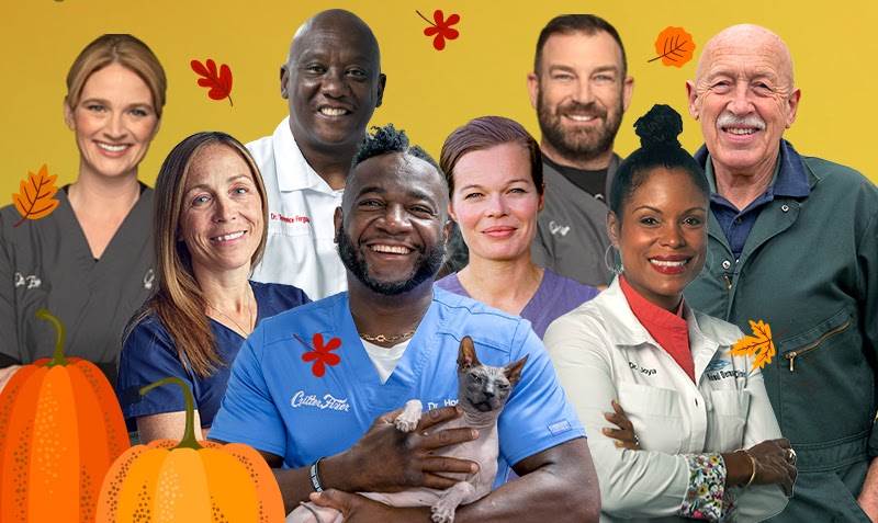 (National Geographic)