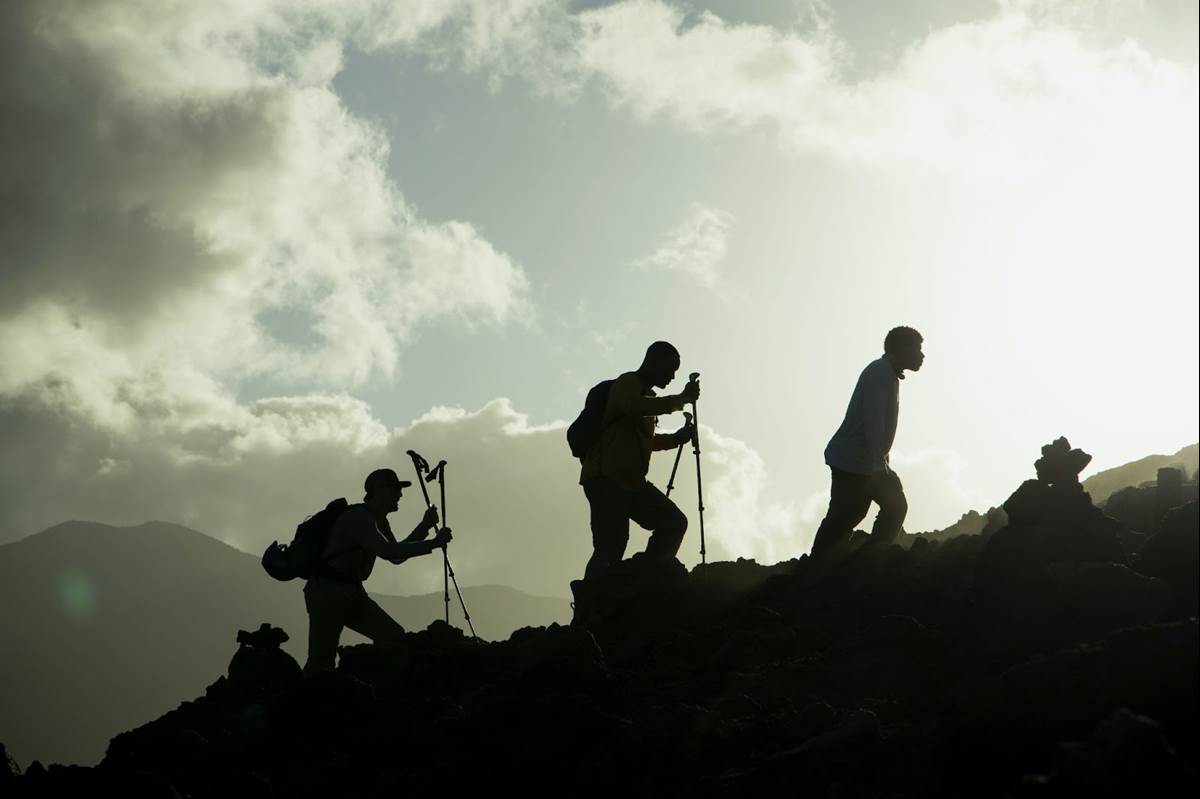 (National Geographic for Disney+/Kyle Christy)