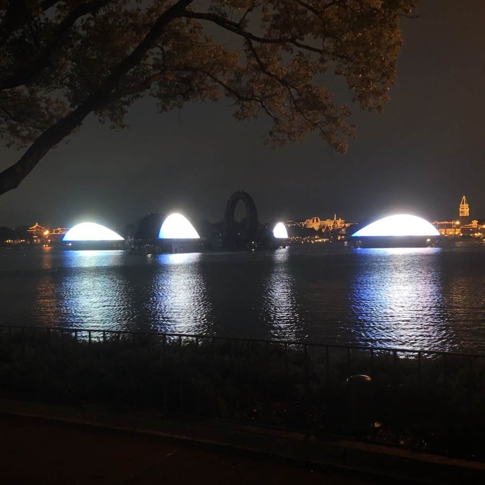 The "tacos" were aglow with the WDW "50" but you can't tell from my picture!