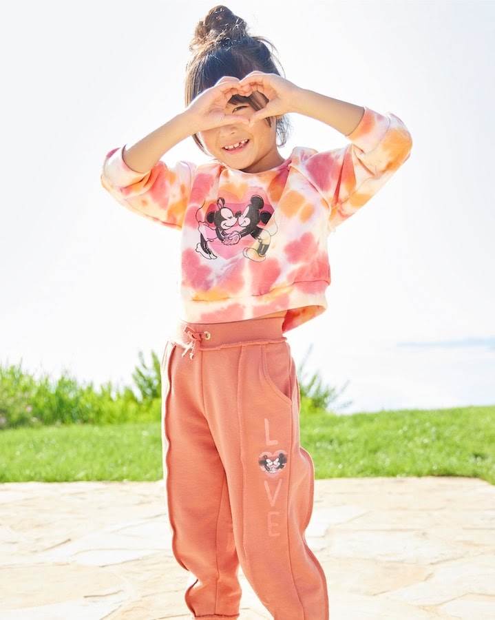 (Via Disney Parks Blog)