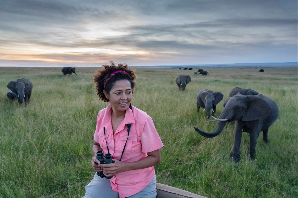 (Charlie Hamilton James)