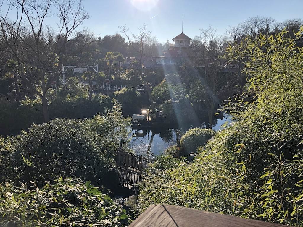 View from the Swiss Family Robinson Treehouse