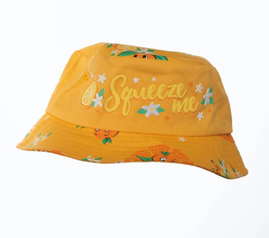 (Via Disney Parks Blog)