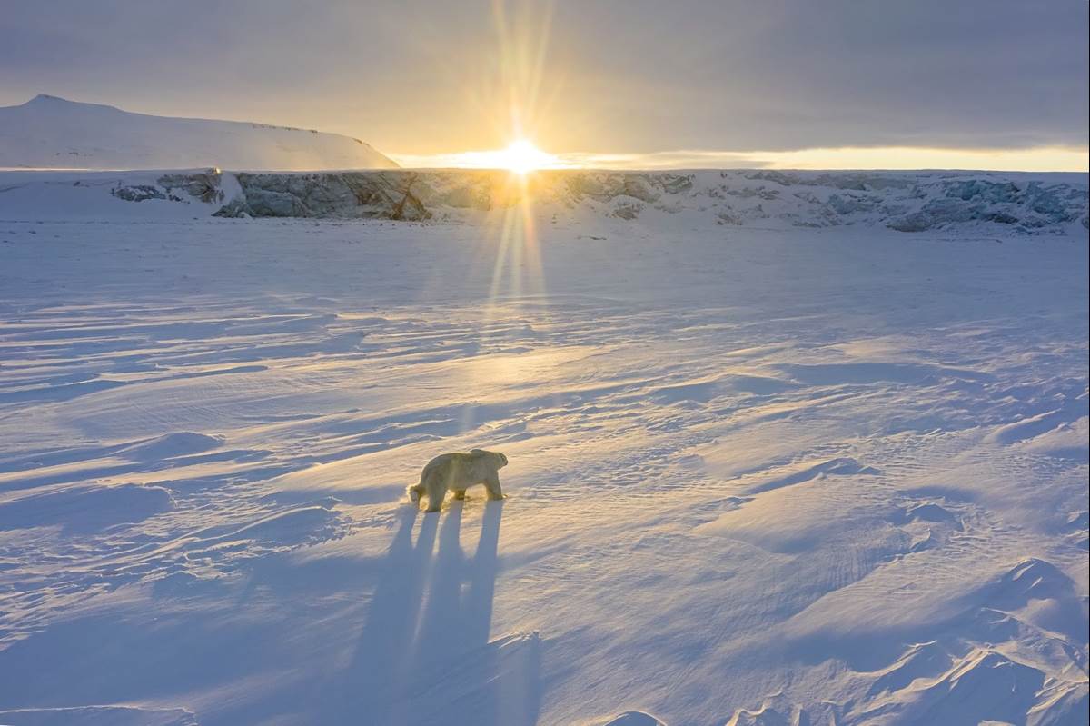 (Florian Ledoux/Disneynature)