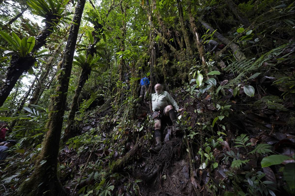 Bruce Means makes his way down treacherous terrain deep in the Guyanese Amazon. (National Geographic/RYAN VALASEK)