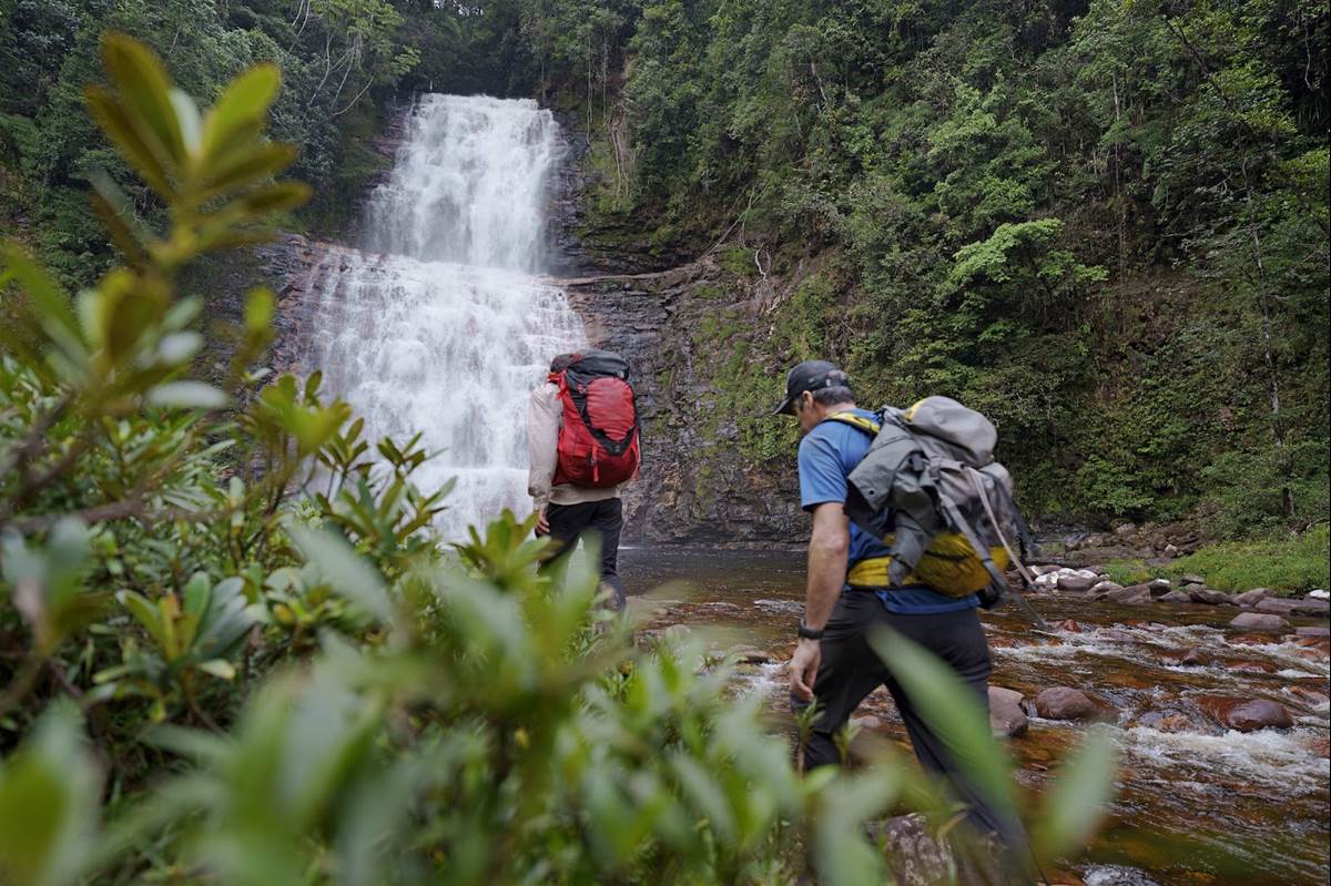 Climbers Alex Honnold and Mark Synnott trekked through the Amazon jungle for days to make a first ascent up the tepui face of Mount Weiassipu in Western Guyana. (National Geographic/Renan Ozturk)