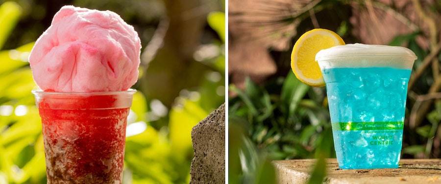 Cocktails at Disney’s Animal Kingdom Theme Park