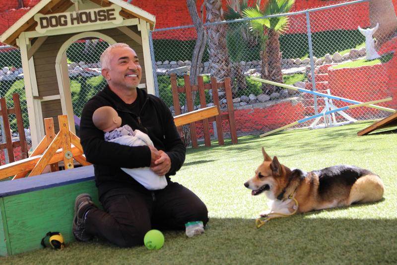 (National Geographic)