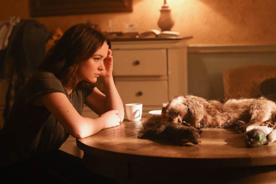 (Freeform/Justine Yeung) Amalia Holm