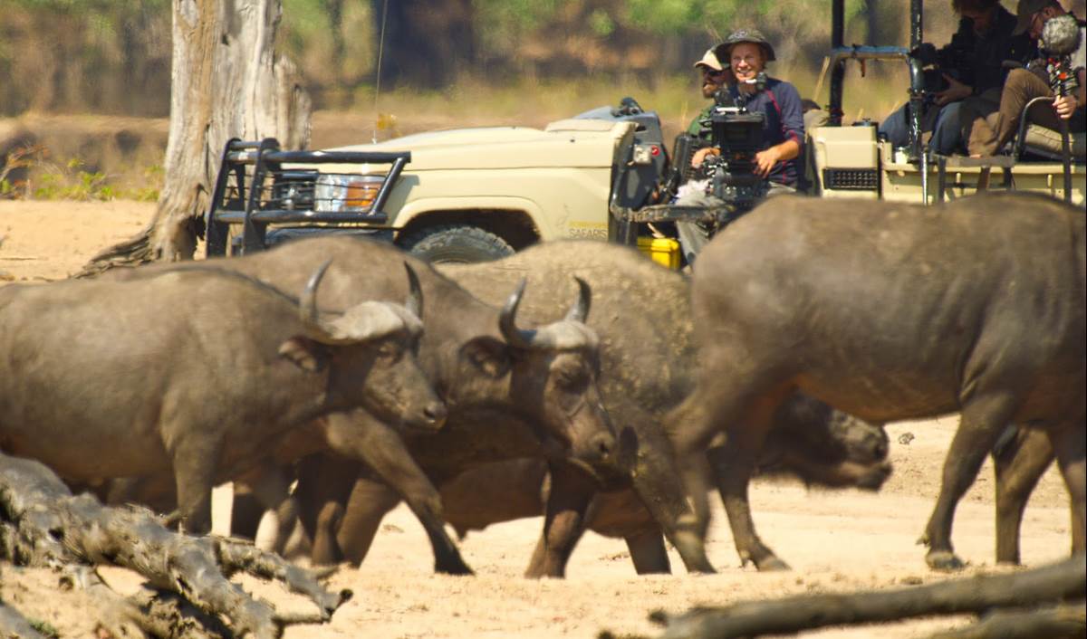 (National Geographic/Sam Stewart for Disney+)