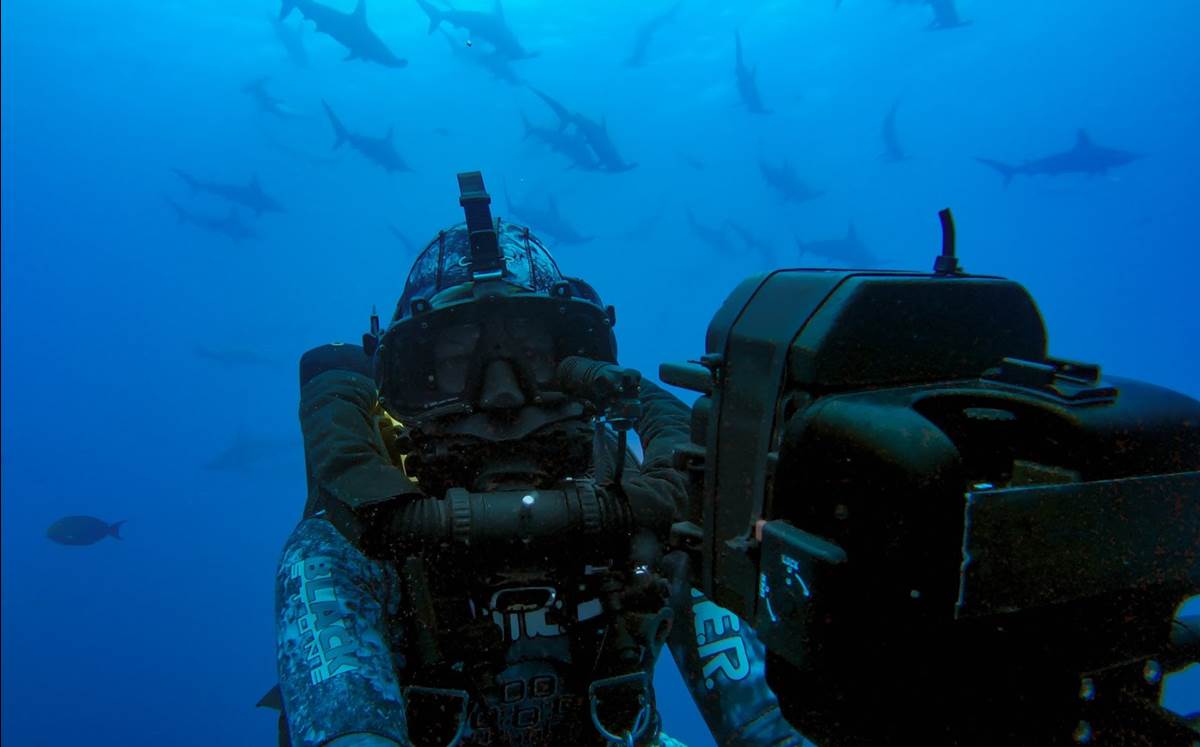 (National Geographic/Mark Sharman for Disney+)