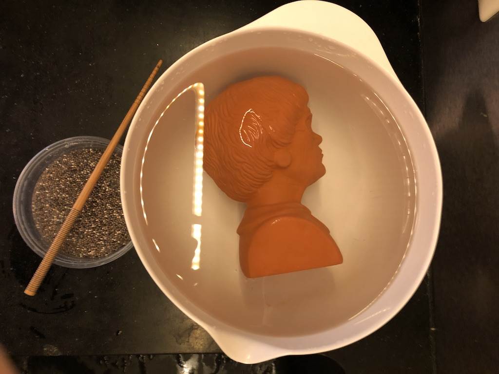 Soaking the bust before seed application