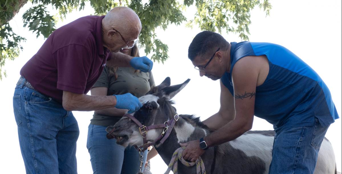 (National Geographic)