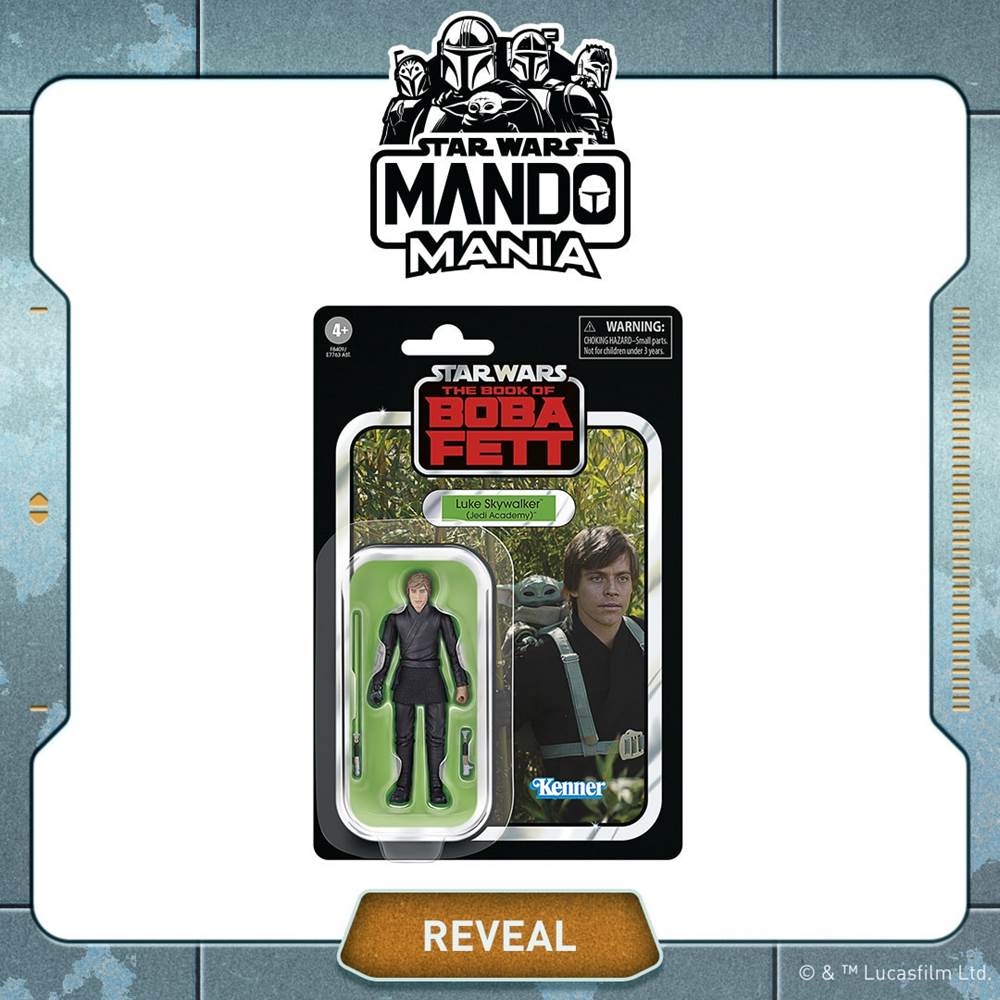 Star Wars: The Vintage Collection Luke Skywalker (Jedi Academy) by Hasbro