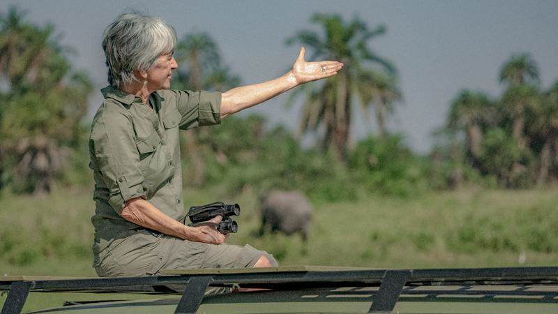 (National Geographic for Disney/Wim Vorster)