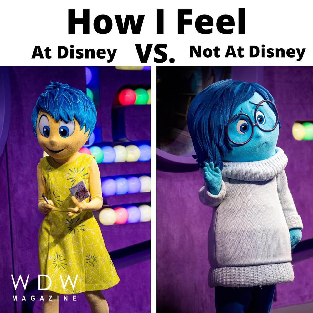 Our Top 10 Favorite Disney World Memes - WDW Magazine