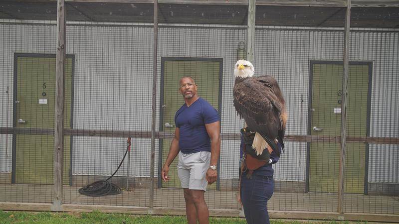 (National Geographic for Disney)