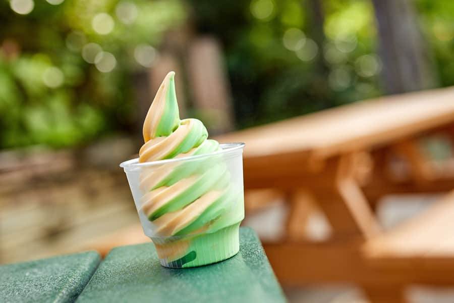 DOLE Whip Swirl at Walt Disney World Resorts