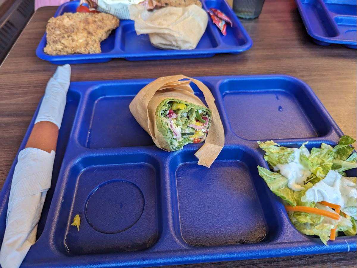 My Hummus Wrap was Great